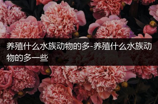 养殖什么水族动物的多-养殖什么水族动物的多一些