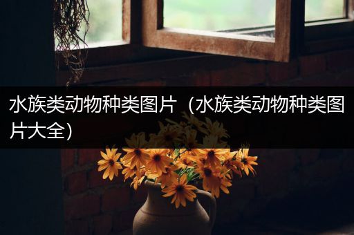 水族类动物种类图片（水族类动物种类图片大全）