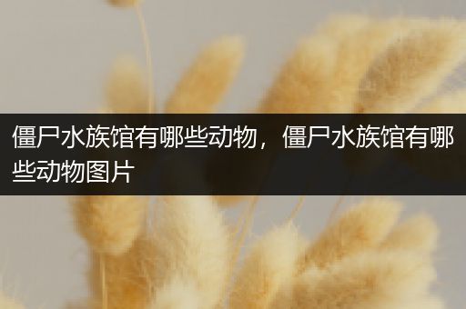 僵尸水族馆有哪些动物，僵尸水族馆有哪些动物图片