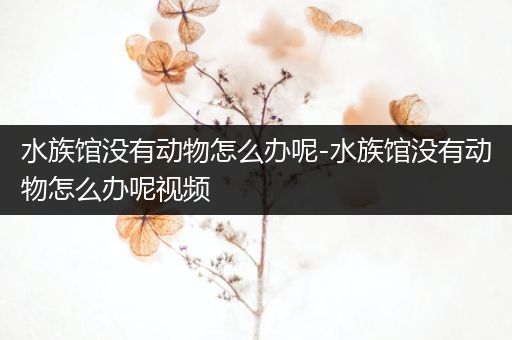 水族馆没有动物怎么办呢-水族馆没有动物怎么办呢视频