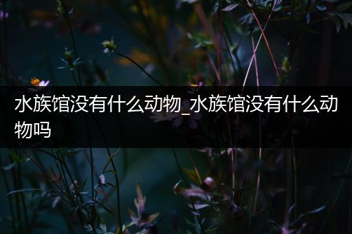 水族馆没有什么动物_水族馆没有什么动物吗