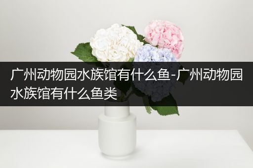 广州动物园水族馆有什么鱼-广州动物园水族馆有什么鱼类