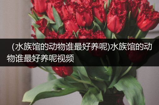 （水族馆的动物谁最好养呢)水族馆的动物谁最好养呢视频