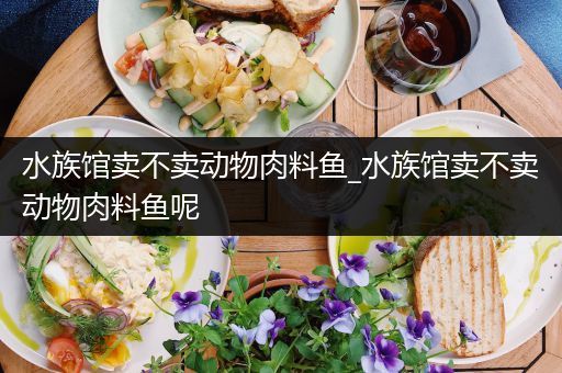 水族馆卖不卖动物肉料鱼_水族馆卖不卖动物肉料鱼呢