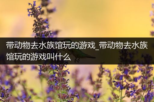 带动物去水族馆玩的游戏_带动物去水族馆玩的游戏叫什么