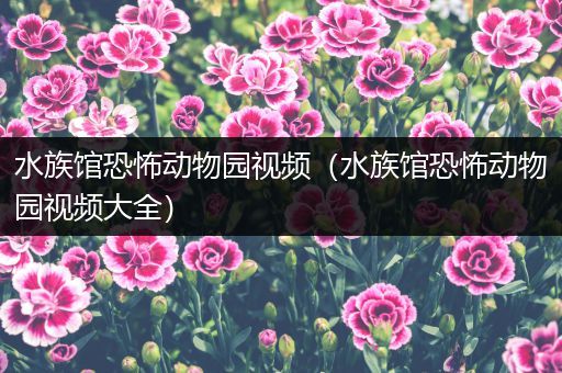 水族馆恐怖动物园视频（水族馆恐怖动物园视频大全）