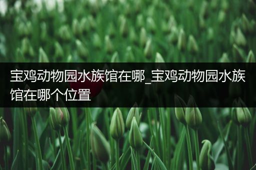 宝鸡动物园水族馆在哪_宝鸡动物园水族馆在哪个位置