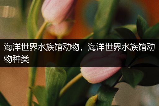 海洋世界水族馆动物，海洋世界水族馆动物种类