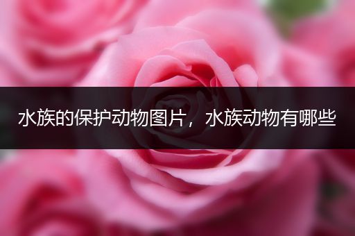 水族的保护动物图片，水族动物有哪些