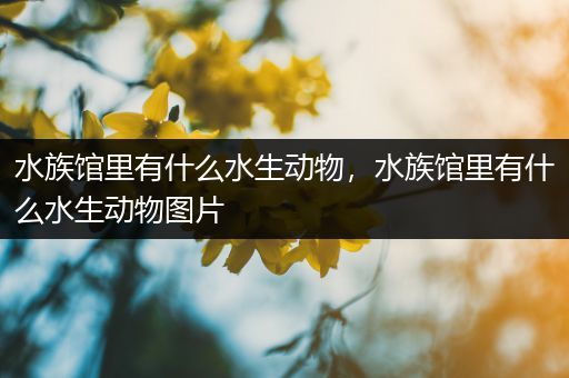 水族馆里有什么水生动物，水族馆里有什么水生动物图片