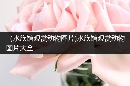 （水族馆观赏动物图片)水族馆观赏动物图片大全