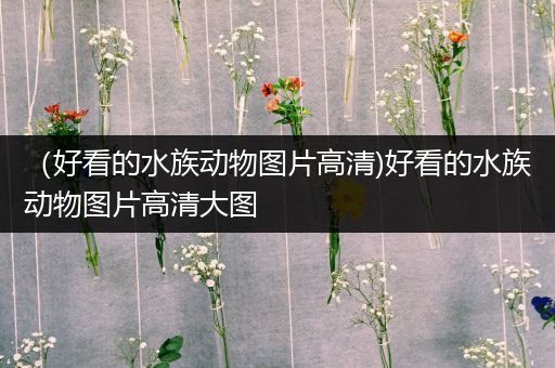 （好看的水族动物图片高清)好看的水族动物图片高清大图