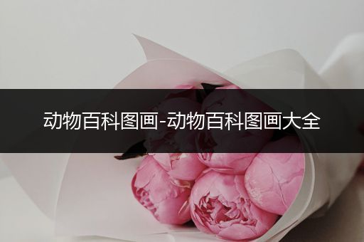 动物百科图画-动物百科图画大全
