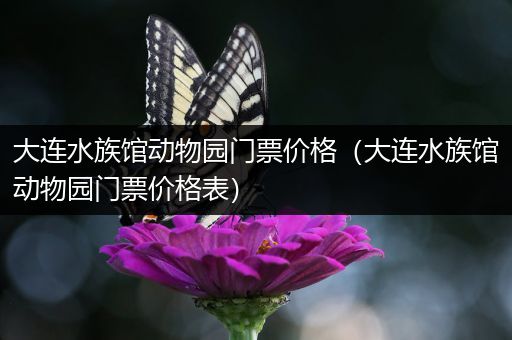 大连水族馆动物园门票价格（大连水族馆动物园门票价格表）