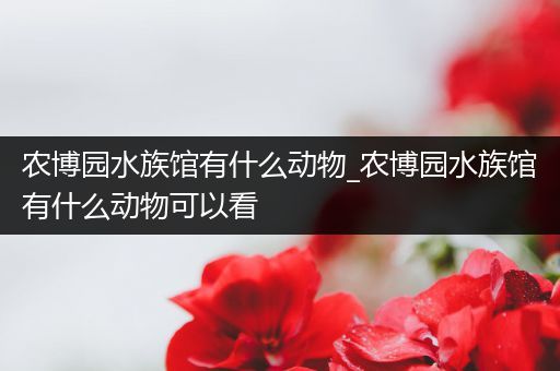 农博园水族馆有什么动物_农博园水族馆有什么动物可以看