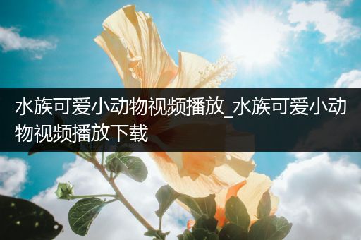 水族可爱小动物视频播放_水族可爱小动物视频播放下载