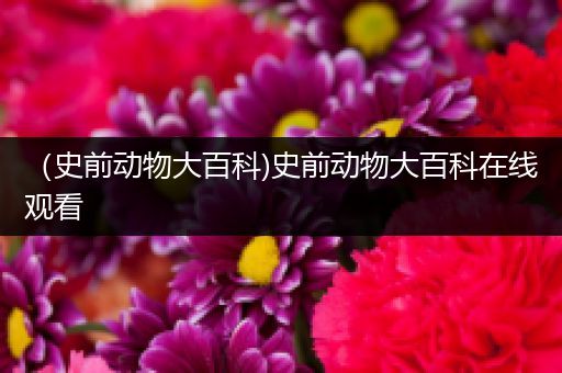 （史前动物大百科)史前动物大百科在线观看