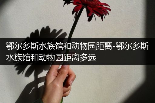 鄂尔多斯水族馆和动物园距离-鄂尔多斯水族馆和动物园距离多远