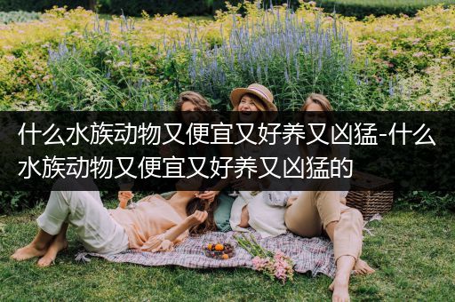 什么水族动物又便宜又好养又凶猛-什么水族动物又便宜又好养又凶猛的