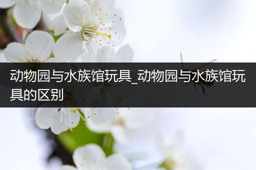 动物园与水族馆玩具_动物园与水族馆玩具的区别