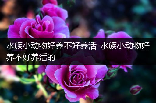 水族小动物好养不好养活-水族小动物好养不好养活的