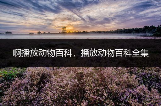 啊播放动物百科，播放动物百科全集