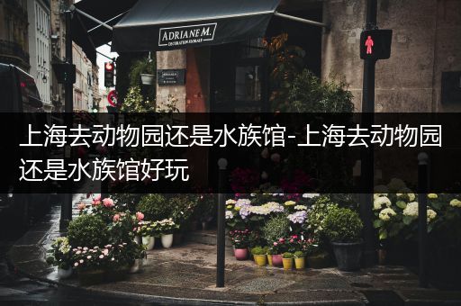 上海去动物园还是水族馆-上海去动物园还是水族馆好玩