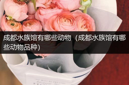 成都水族馆有哪些动物（成都水族馆有哪些动物品种）