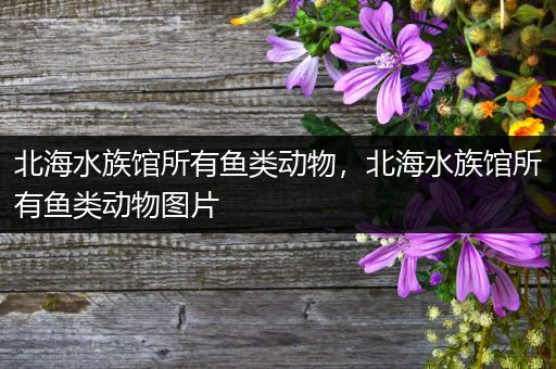 北海水族馆所有鱼类动物，北海水族馆所有鱼类动物图片