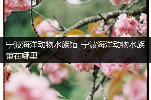 宁波海洋动物水族馆_宁波海洋动物水族馆在哪里