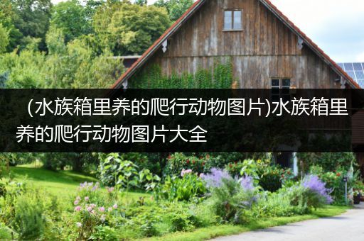 （水族箱里养的爬行动物图片)水族箱里养的爬行动物图片大全