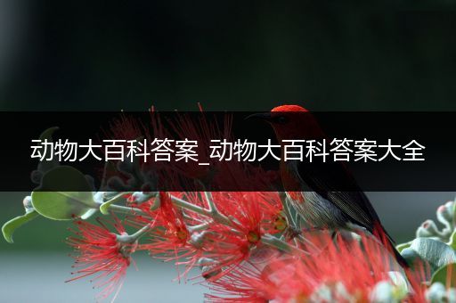 动物大百科答案_动物大百科答案大全