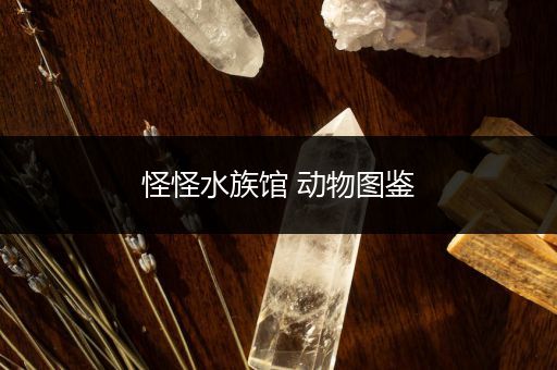 怪怪水族馆 动物图鉴