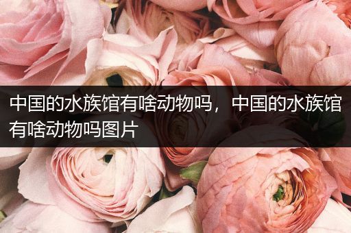 中国的水族馆有啥动物吗，中国的水族馆有啥动物吗图片
