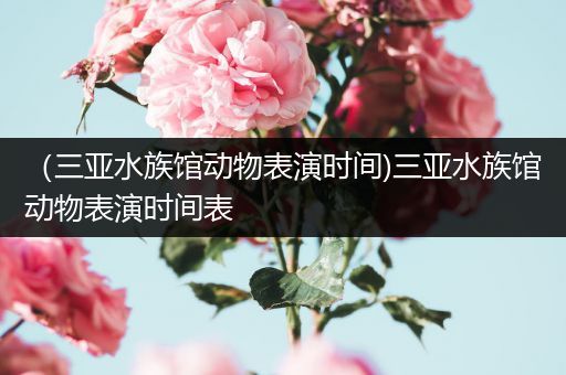 （三亚水族馆动物表演时间)三亚水族馆动物表演时间表