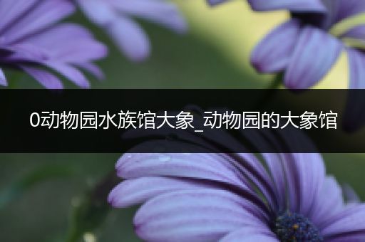 0动物园水族馆大象_动物园的大象馆