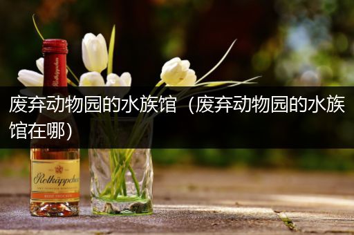 废弃动物园的水族馆（废弃动物园的水族馆在哪）