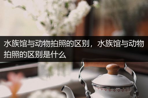 水族馆与动物拍照的区别，水族馆与动物拍照的区别是什么