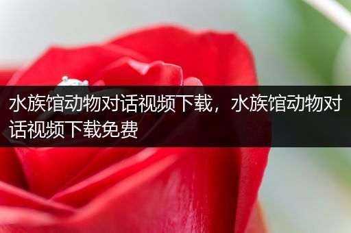 水族馆动物对话视频下载，水族馆动物对话视频下载免费