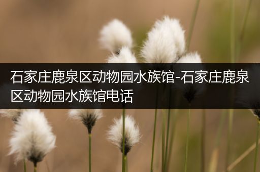 石家庄鹿泉区动物园水族馆-石家庄鹿泉区动物园水族馆电话