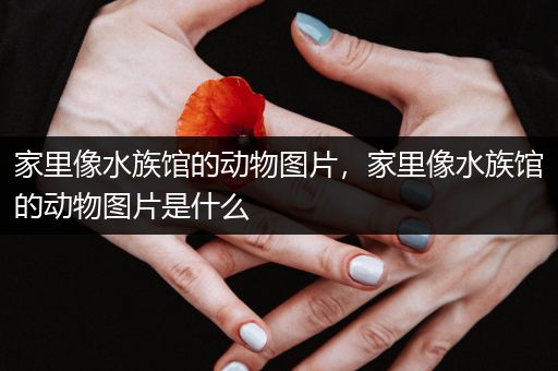 家里像水族馆的动物图片，家里像水族馆的动物图片是什么