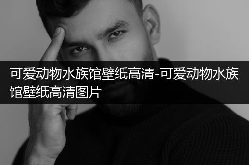 可爱动物水族馆壁纸高清-可爱动物水族馆壁纸高清图片