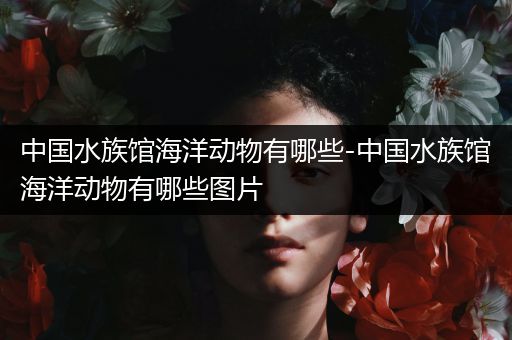 中国水族馆海洋动物有哪些-中国水族馆海洋动物有哪些图片