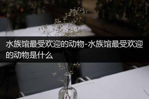 水族馆最受欢迎的动物-水族馆最受欢迎的动物是什么