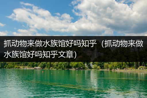 抓动物来做水族馆好吗知乎（抓动物来做水族馆好吗知乎文章）
