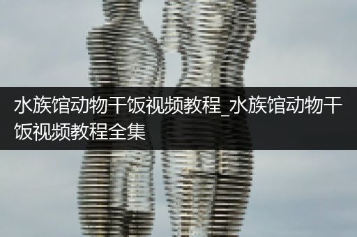 水族馆动物干饭视频教程_水族馆动物干饭视频教程全集