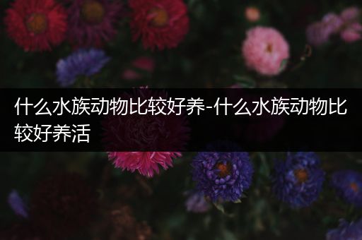 什么水族动物比较好养-什么水族动物比较好养活