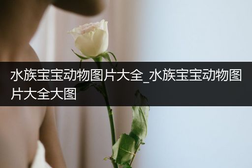 水族宝宝动物图片大全_水族宝宝动物图片大全大图