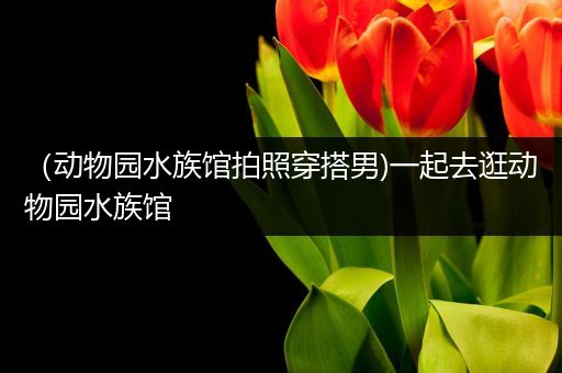 （动物园水族馆拍照穿搭男)一起去逛动物园水族馆
