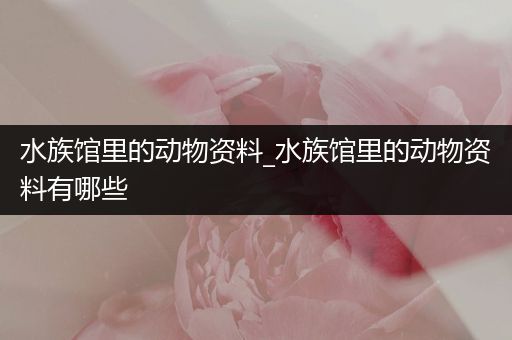 水族馆里的动物资料_水族馆里的动物资料有哪些